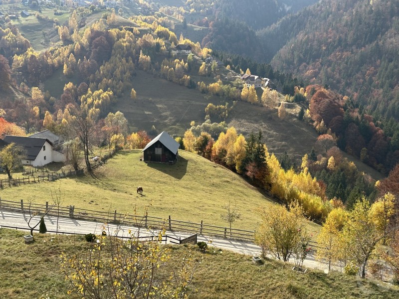 Magura Guesthouse Măgura 709124 thumb