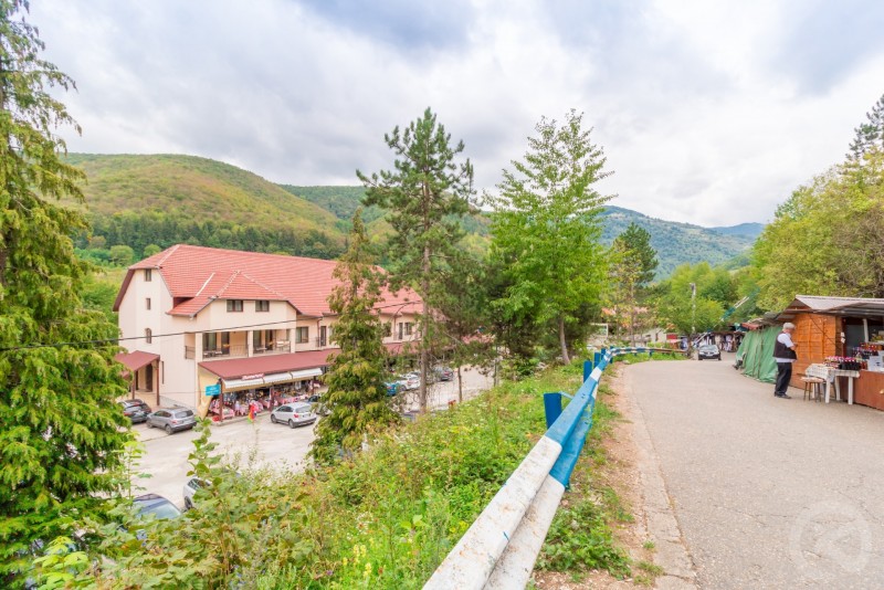 Popasul Urșilor Pension Chișcău 715750 thumb