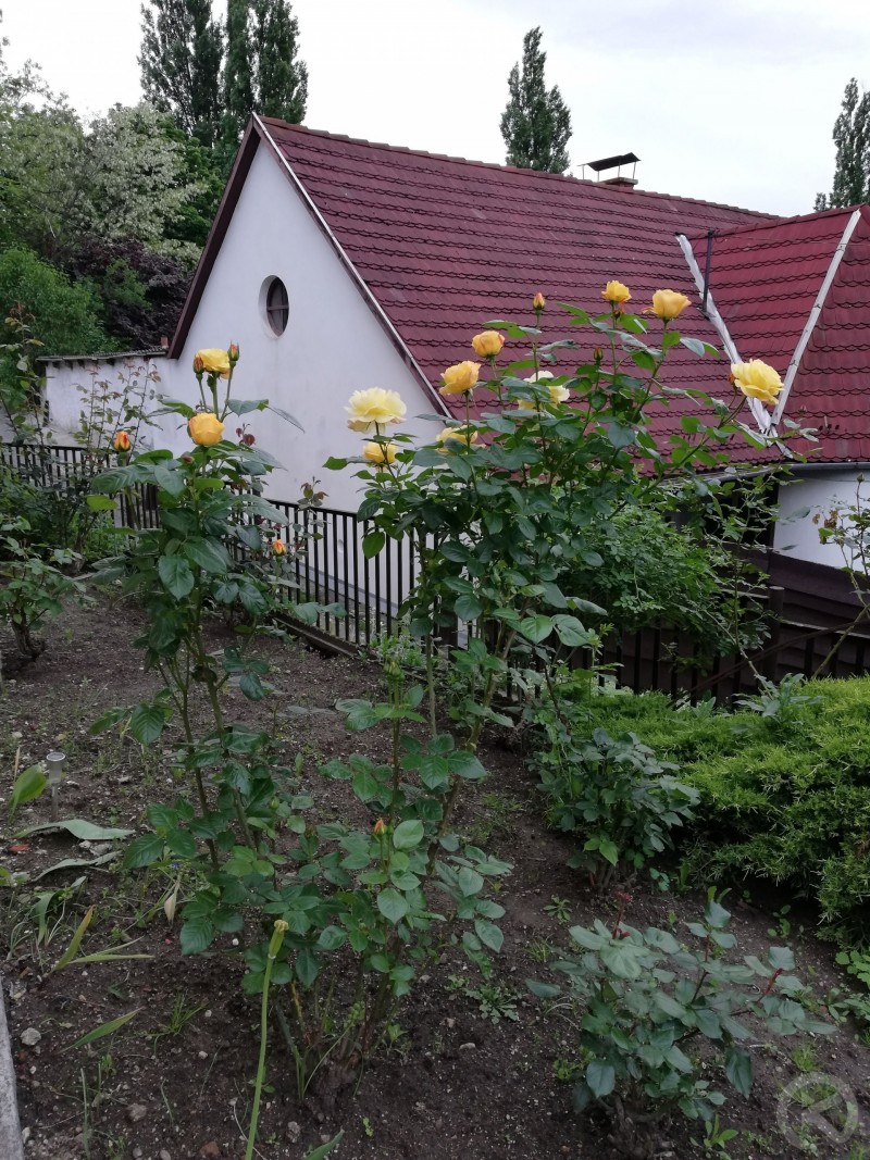 Barbara Apartman Miskolc 715064 thumb