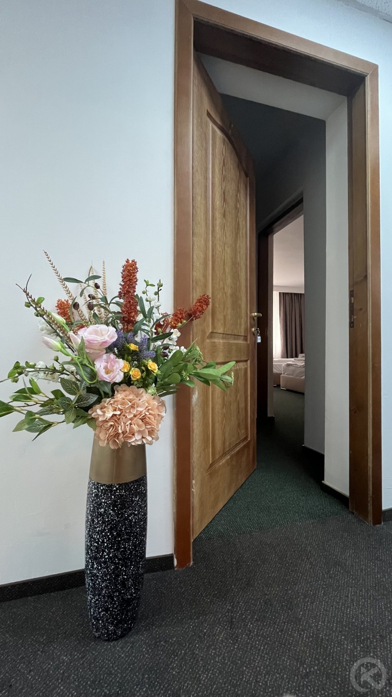 Europa Hotel Ocna Mureș 704505 thumb