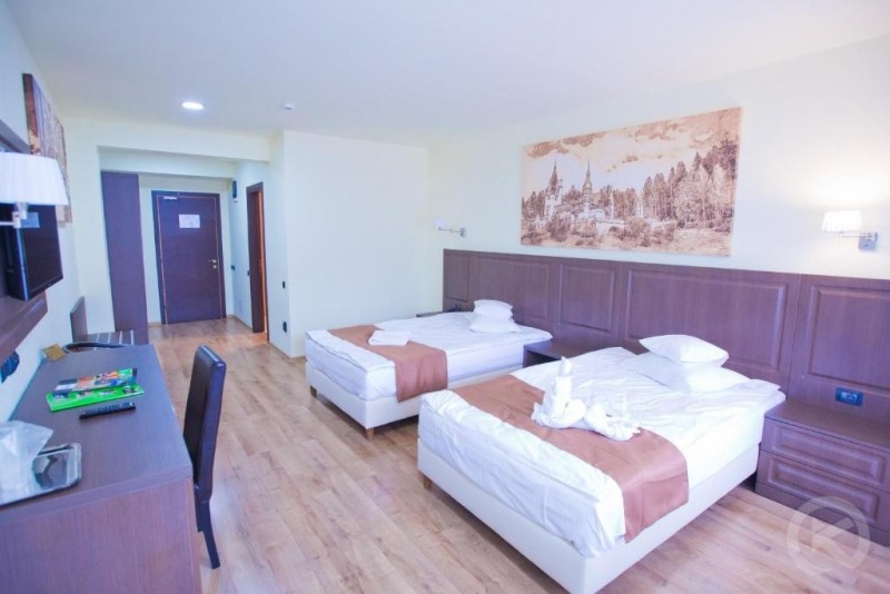 HOTEL PIEMONTE Predeal 719931 thumb