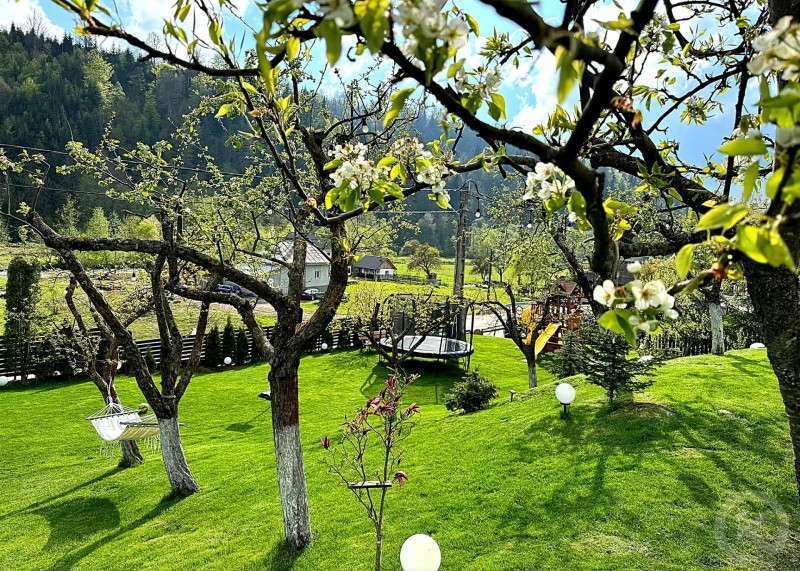 Casa Lipan Colibita – Mountain Cabin with Jacuzzi near the Lake Colibița 715164 thumb