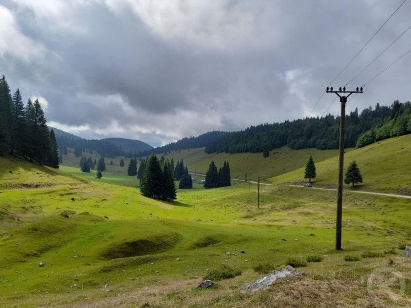 Padis tourist area