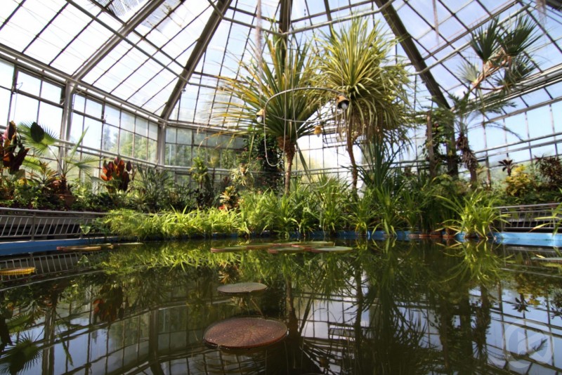 ALEXANDRU BORZA BOTANICAL GARDEN