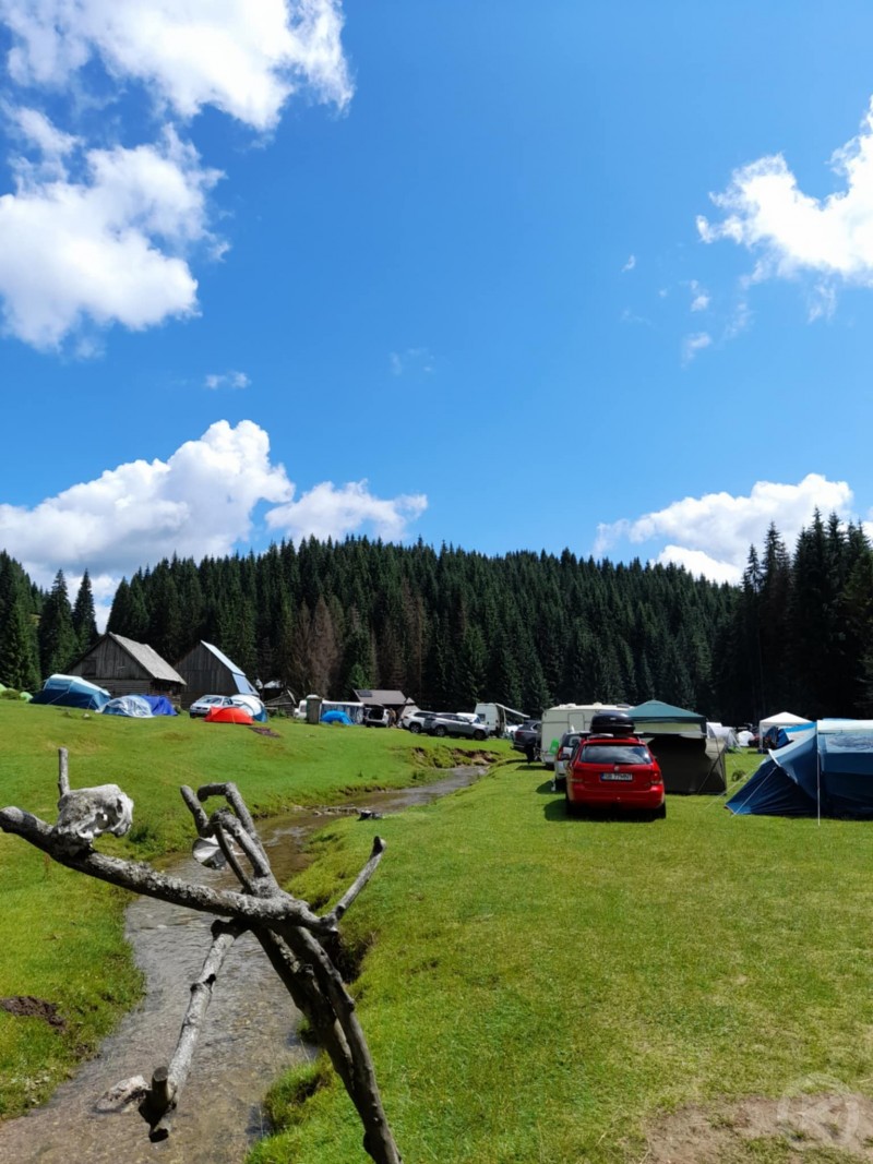 Glăvoi Meadow